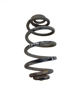 Rear coil spring