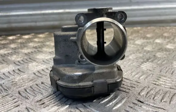 Citroen Berlingo Throttle valve 9673534480 28275019