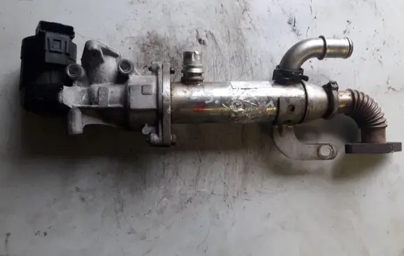 Citroen C5 EGR valve