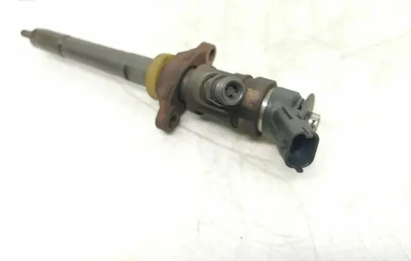 Citroen Berlingo Fuel injector 0445110390
