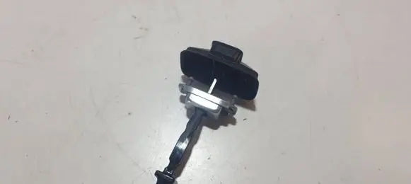 Dacia Jogger Rear door check strap stopper 20230828