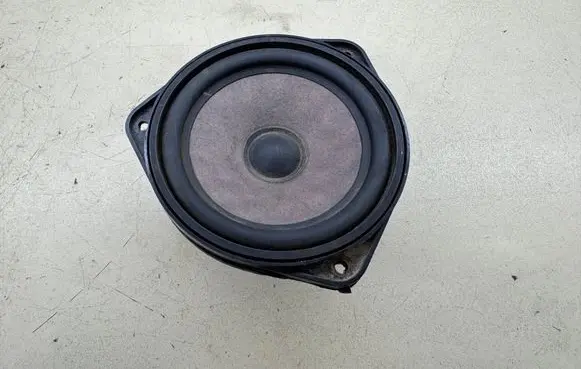 Front door speaker