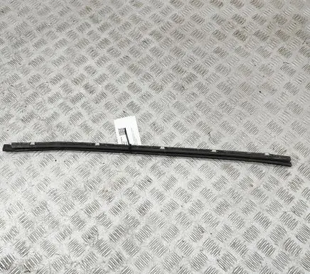 Mercedes-Benz S W140 Front door glass trim molding A2207250065