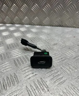 Tailgate opening switch