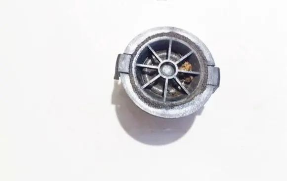 Renault Scenic I Front door speaker 7700425807 418701