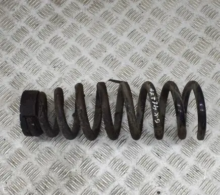 Rear coil spring