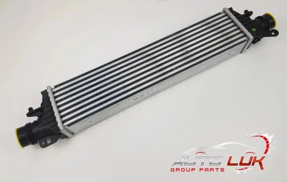 Opel Corsa E Intercooler radiator 961125