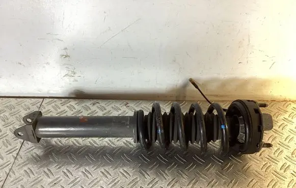Porsche 911 997 Rear shock absorber with coil spring 99733316100