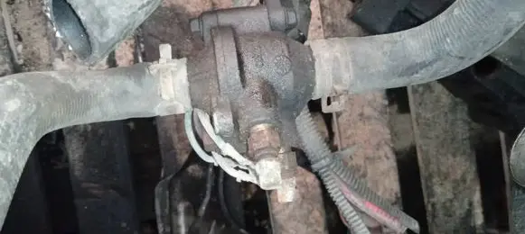 Renault Scenic I Engine coolant pipe/hose