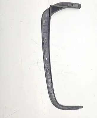 Dodge RAM Rear door trim (molding) 6838688AF