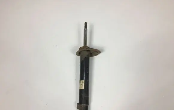 BMW 3 E46 Front shock absorber/damper 1096913