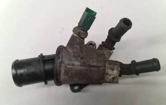 Thermostat/thermostat housing
