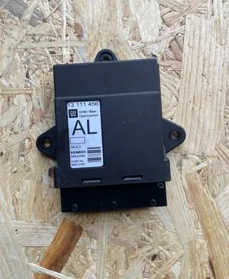Opel Signum Door control unit/module 13111456