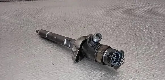 Citroen C3 Picasso Fuel injector 0445110297