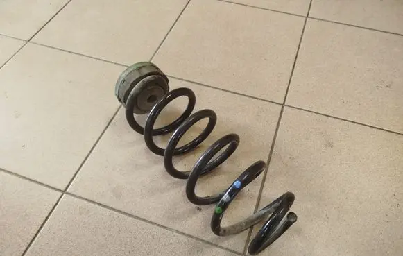 Rear coil spring