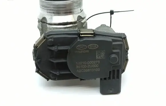 KIA Sportage Electric throttle body valve 18210000273 351002U000