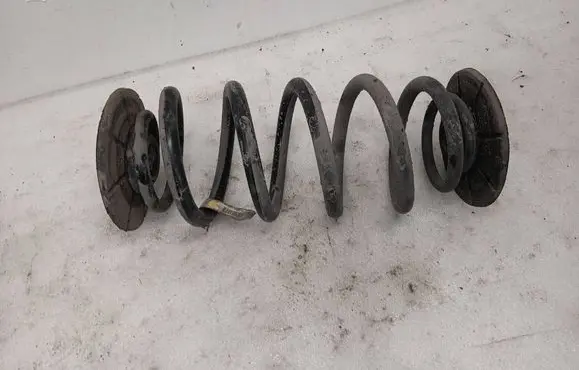 Rear coil spring