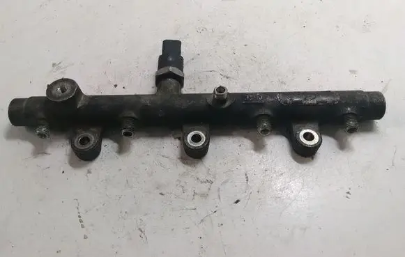 Peugeot 406 Fuel main line pipe 0445214019 0281002283