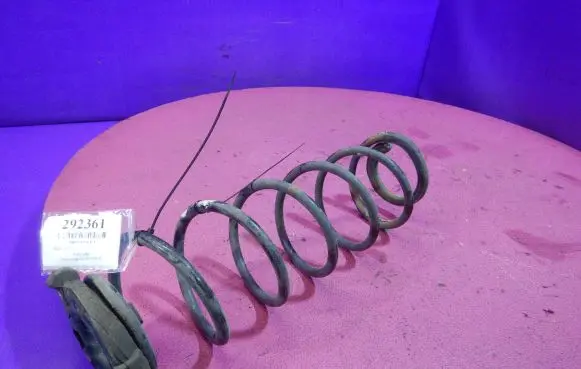 Renault Laguna II Rear coil spring
