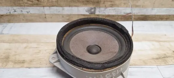 Front door speaker