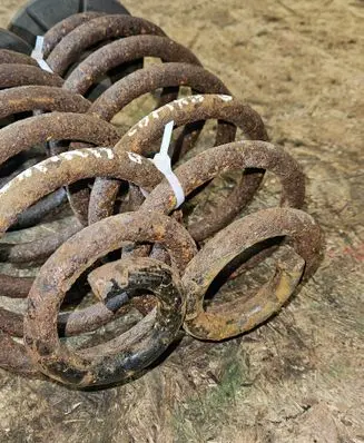 Rear coil spring