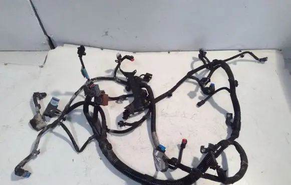 Engine installation wiring loom