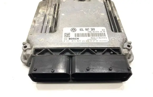Engine control unit/module ECU