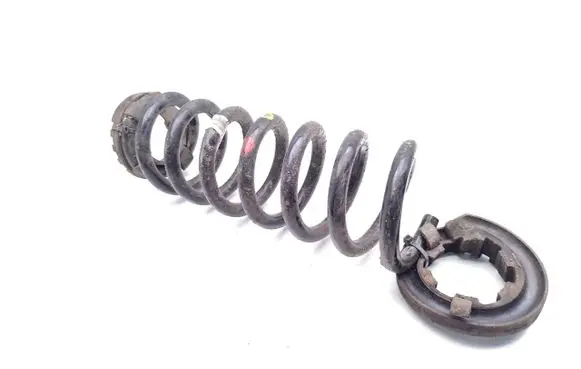 Rear coil spring