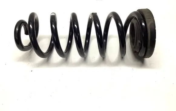 Rear coil spring
