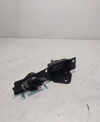 Renault Kangoo II Loading door lock loop/hook striker 497811 142138