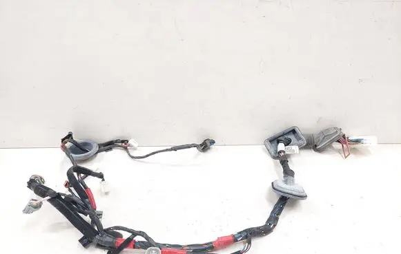 Hyundai Santa Fe Front door wiring loom 916002B200 CMDFD00R