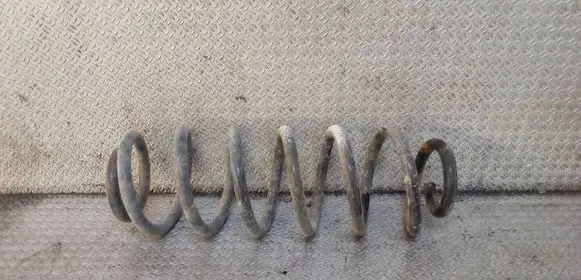 Volkswagen PASSAT B6 Rear coil spring