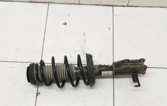 Chevrolet Orlando Front shock absorber with coil spring 824903011969 32U54A 315475