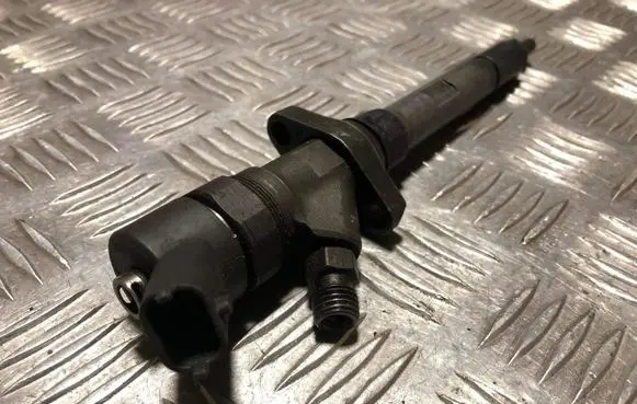 Citroen C5 Fuel injector 0445110036 963727798