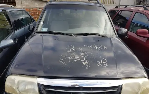 Suzuki Grand Vitara I Engine bonnet/hood