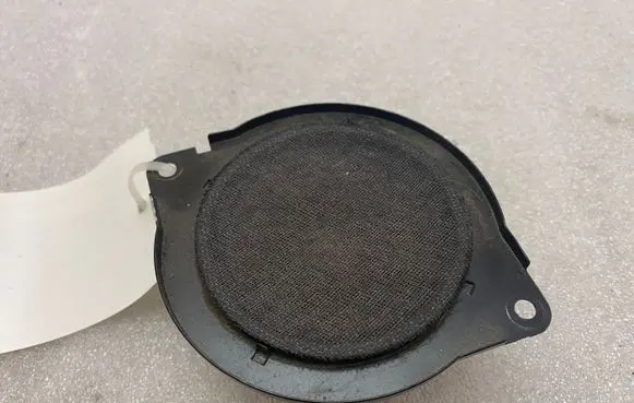 Chrysler Pacifica Panel speaker 