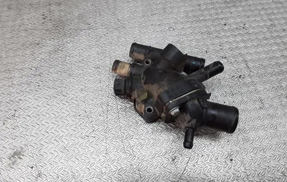 Thermostat/thermostat housing