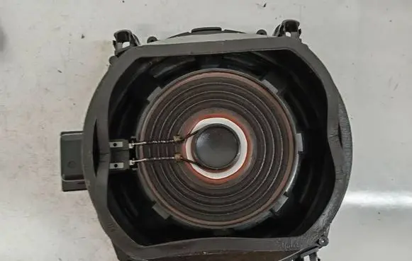BMW X5M E70 Front door speaker 921869501 6513921869501