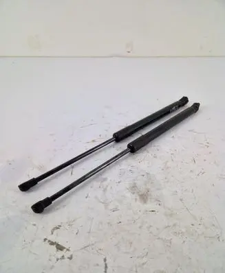 Renault Kadjar Tailgate/trunk strut/damper 904516026R