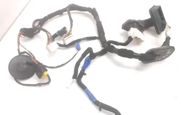 Hyundai Grandeur Front door wiring loom 916103L071 919803L070