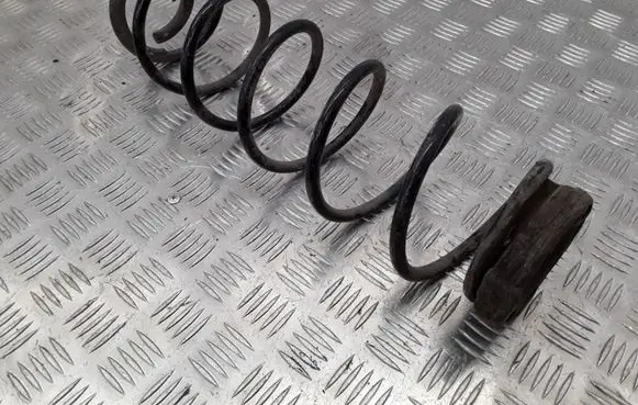 Rear coil spring