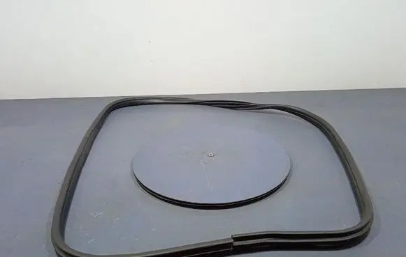 Ford Focus ST Front door rubber seal