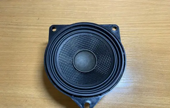 BMW X6 E71 Front door speaker 188200 C4132