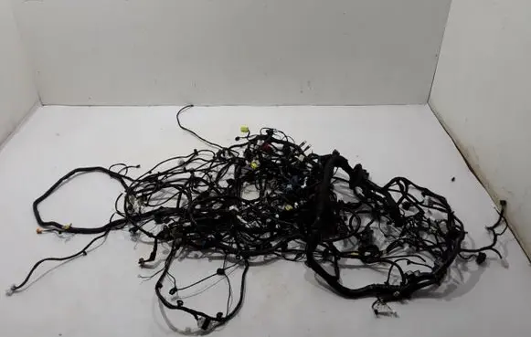 Other wiring loom