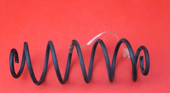 Rear coil spring