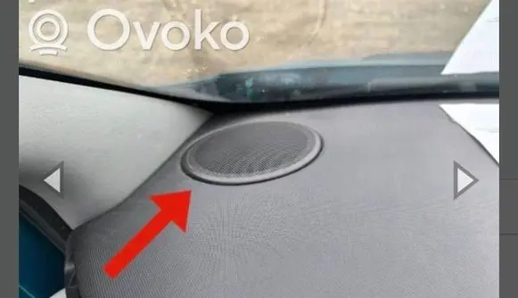 Opel Vivaro Side speaker trim/cover 7700842163B