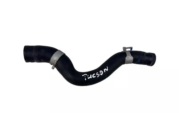 Hyundai Tucson IV NX4 Engine coolant pipe/hose 25450-P0000