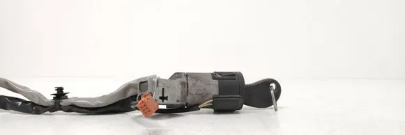 Citroen Berlingo Ignition lock 9663123280