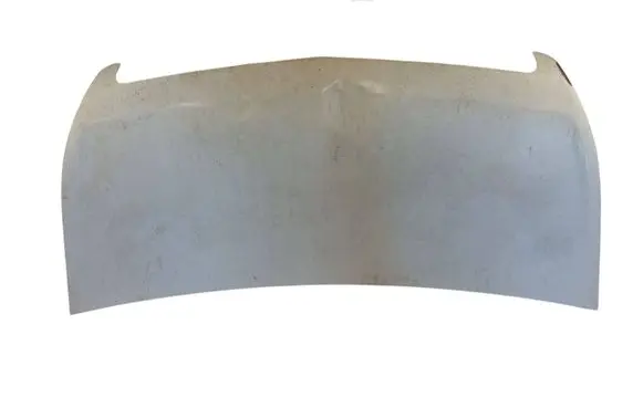 Engine bonnet/hood