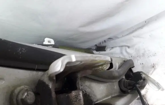 Rover 214 - 216 - 220 Rear door lower hinge 